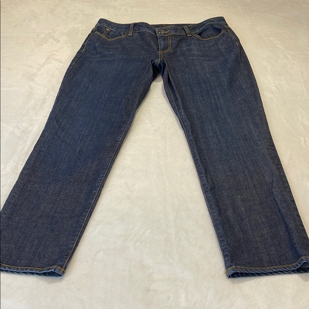 TALBOTS SIGNATURE ANKLE SIZE 10/30 Women's Blue Jeans